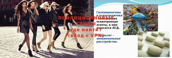 крисы Аркадак